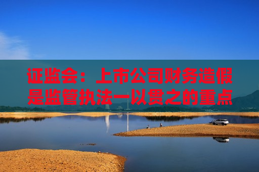  *** ：上市公司财务造假是监管执法一以贯之的重点  第1张