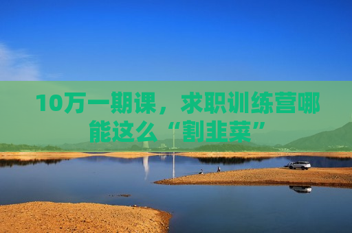 10万一期课，求职训练营哪能这么“割韭菜”