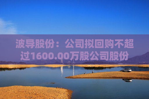 波导股份：公司拟回购不超过1600.00万股公司股份  第1张