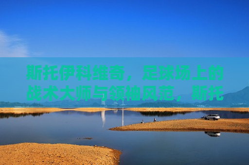 斯托伊科维奇，足球场上的战术大师与领袖风范，斯托伊科维奇，战术大师与领袖风范的足球传奇，斯托伊科维奇，战术大师与领袖风范的足球传奇  第1张