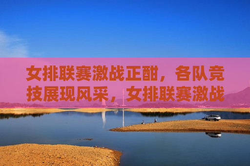 女排联赛激战正酣，各队竞技展现风采，女排联赛激战，各队展现风采，女排联赛激战，各队风采尽显