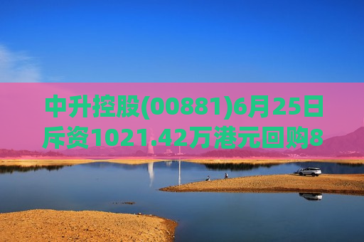 中升控股(00881)6月25日斥资1021.42万港元回购82.4万股