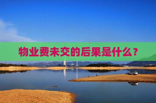 物业费未交的后果是什么？