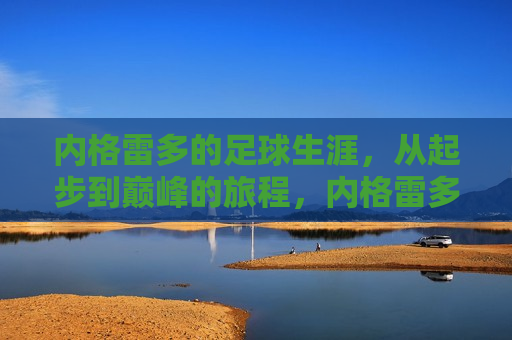 内格雷多的足球生涯，从起步到巅峰的旅程，内格雷多，足球生涯的传奇之旅，内格雷多，足球生涯的传奇之旅  第1张