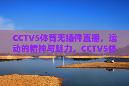 CCTV5体育无插件直播，运动的精神与魅力，CCTV5体育无插件直播，运动精神的魅力展现，CCTV5体育无插件直播，运动精神魅力的展现