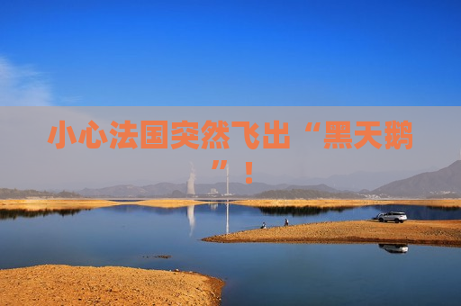 小心法国突然飞出“黑天鹅”！