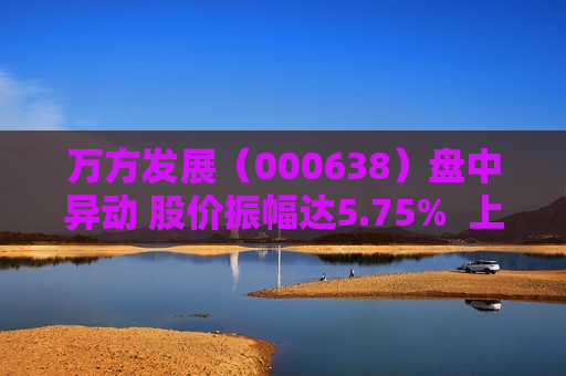 万方发展（000638）盘中异动 股价振幅达5.75%  上涨7.03%（07-11） 第1张