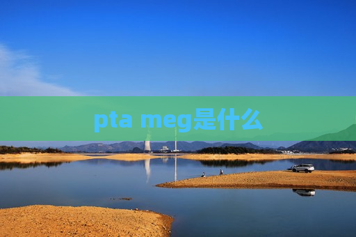 pta meg是什么  第1张