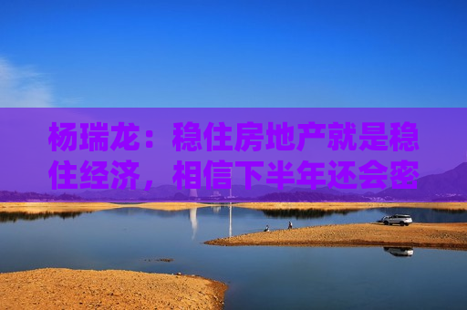 杨瑞龙：稳住房地产就是稳住经济，相信下半年还会密集出台一些房地产政策