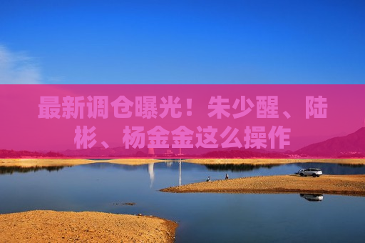 最新调仓曝光！朱少醒、陆彬、杨金金这么操作