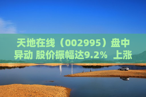 天地在线（002995）盘中异动 股价振幅达9.2%  上涨7.44%（07-23）