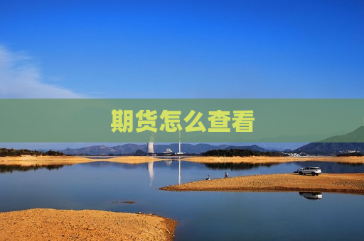 期货怎么查看  第1张
