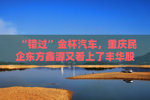 “错过”金杯汽车，重庆民企东方鑫源又看上了丰华股份控制权  多年“上市梦”能实现吗 第1张