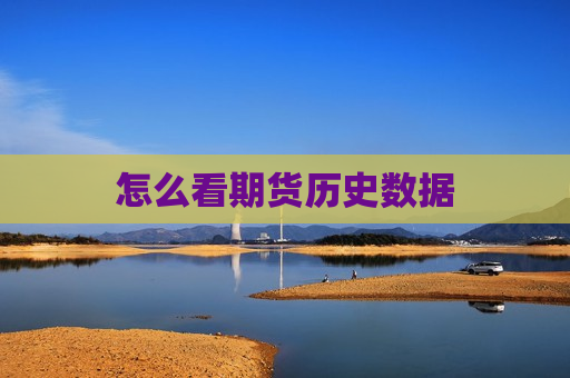 怎么看期货历史数据