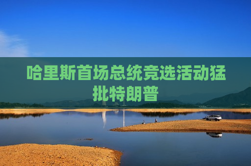 哈里斯首场总统竞选活动猛批特朗普  第1张