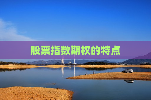 股票指数期权的特点  第1张