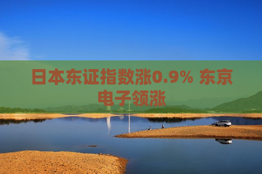 日本东证指数涨0.9% 东京电子领涨