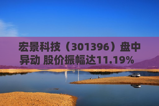 宏景科技（301396）盘中异动 股价振幅达11.19%  上涨10.12%（07-29）