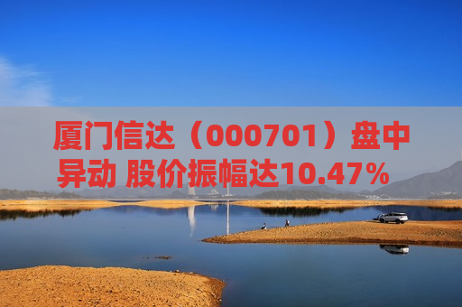 厦门信达（000701）盘中异动 股价振幅达10.47%  上涨8.14%（07-29）