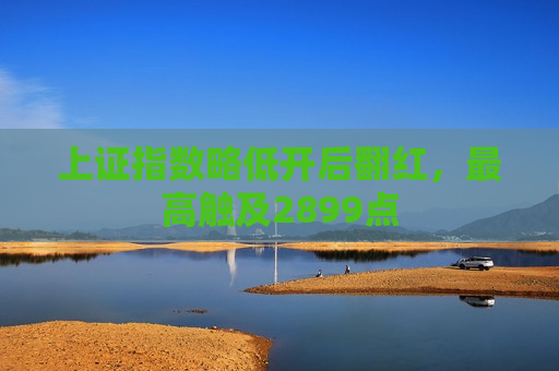 上证指数略低开后翻红，更高触及2899点