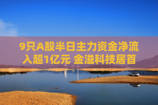 9只A股半日主力资金净流入超1亿元 金溢科技居首