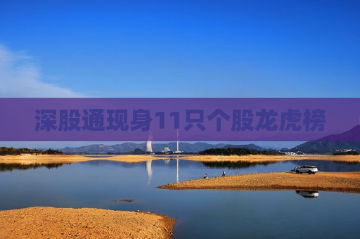 深股通现身11只个股龙虎榜