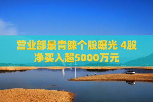 营业部最青睐个股曝光 4股净买入超5000万元