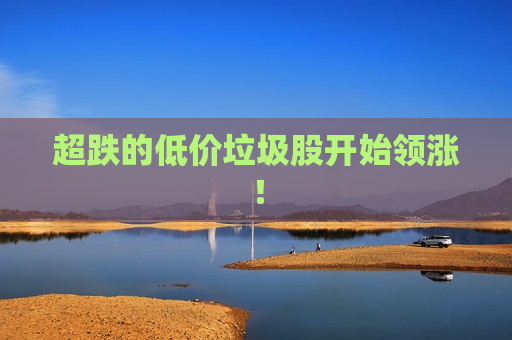 超跌的低价垃圾股开始领涨！