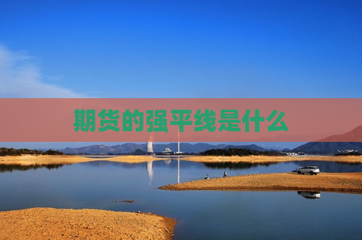 期货的强平线是什么