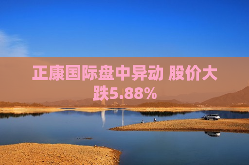 正康国际盘中异动 股价大跌5.88%