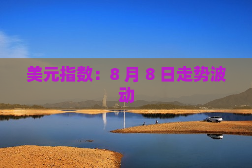 美元指数：8 月 8 日走势波动