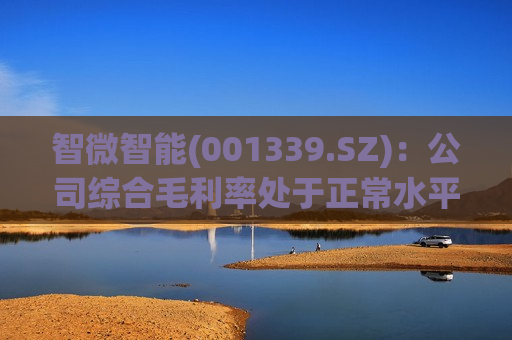 智微智能(001339.SZ)：公司综合毛利率处于正常水平  第1张