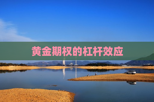 黄金期权的杠杆效应