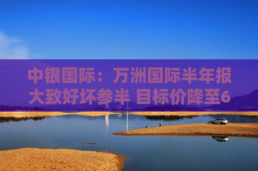 中银国际：万洲国际半年报大致好坏参半 目标价降至6.2港元  第1张