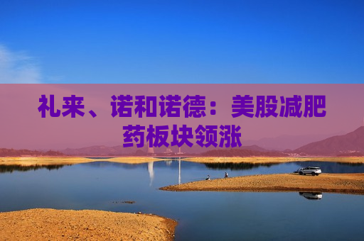 礼来、诺和诺德：美股减肥药板块领涨