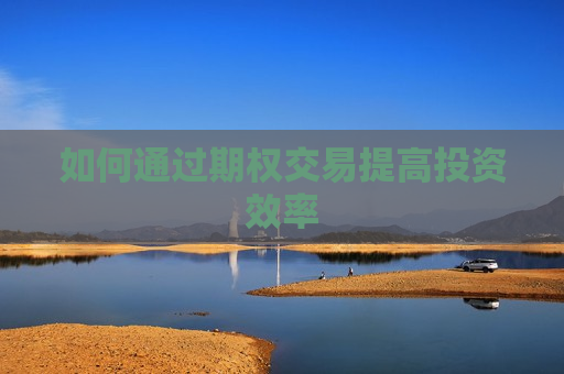 如何通过期权交易提高投资效率