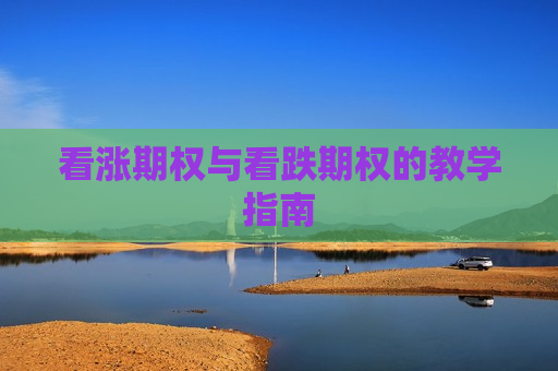 看涨期权与看跌期权的教学指南