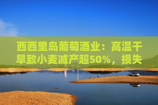 西西里岛葡萄酒业：高温干旱致小麦减产超50%，损失逾27亿欧元  第1张