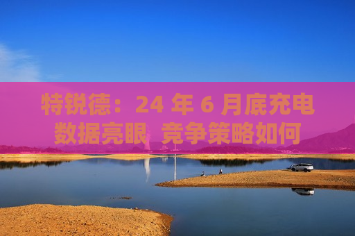 特锐德：24 年 6 月底充电数据亮眼  竞争策略如何