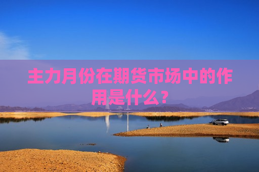 主力月份在期货市场中的作用是什么？