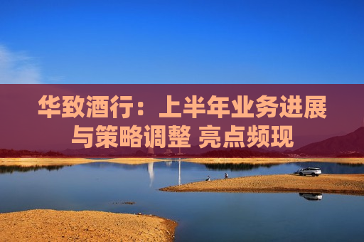 华致酒行：上半年业务进展与策略调整 亮点频现