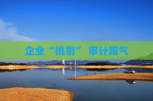 企业“挑剔” 审计服气