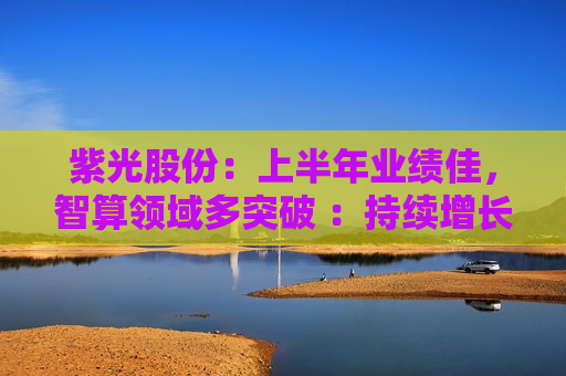 紫光股份：上半年业绩佳，智算领域多突破 ：持续增长