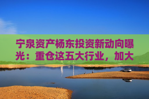 宁泉资产杨东投资新动向曝光：重仓这五大行业，加大对转债市场的关注