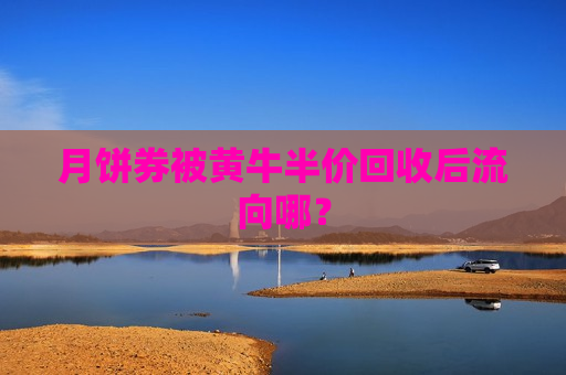 月饼券被黄牛半价回收后流向哪？
