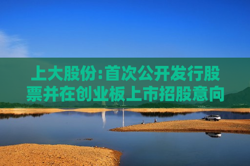 上大股份:首次公开发行股票并在创业板上市招股意向书  第1张
