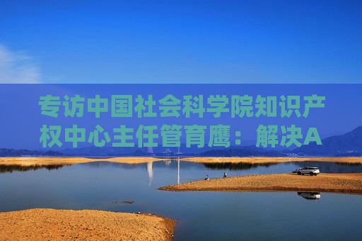 专访中国社会科学院知识产权中心主任管育鹰：解决AI著作权争议，可考虑设计喂料端的版权内容使用侵权例外规则