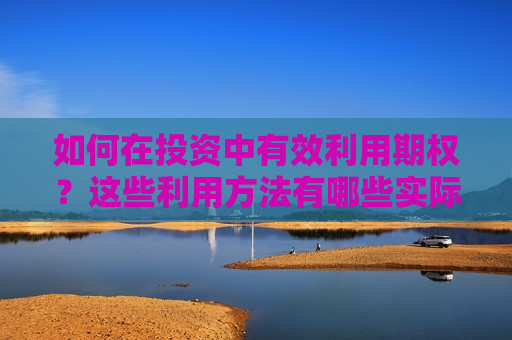 如何在投资中有效利用期权？这些利用 *** 有哪些实际应用？  第1张