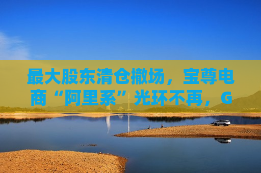 更大股东清仓撤场，宝尊电商“阿里系”光环不再，GAP如何突围？  第1张