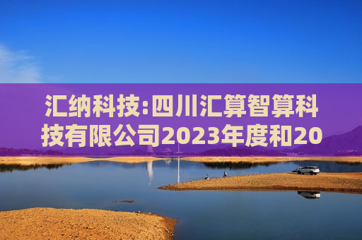 汇纳科技:四川汇算智算科技有限公司2023年度和2024年半年度审计报告及财务报表  第1张